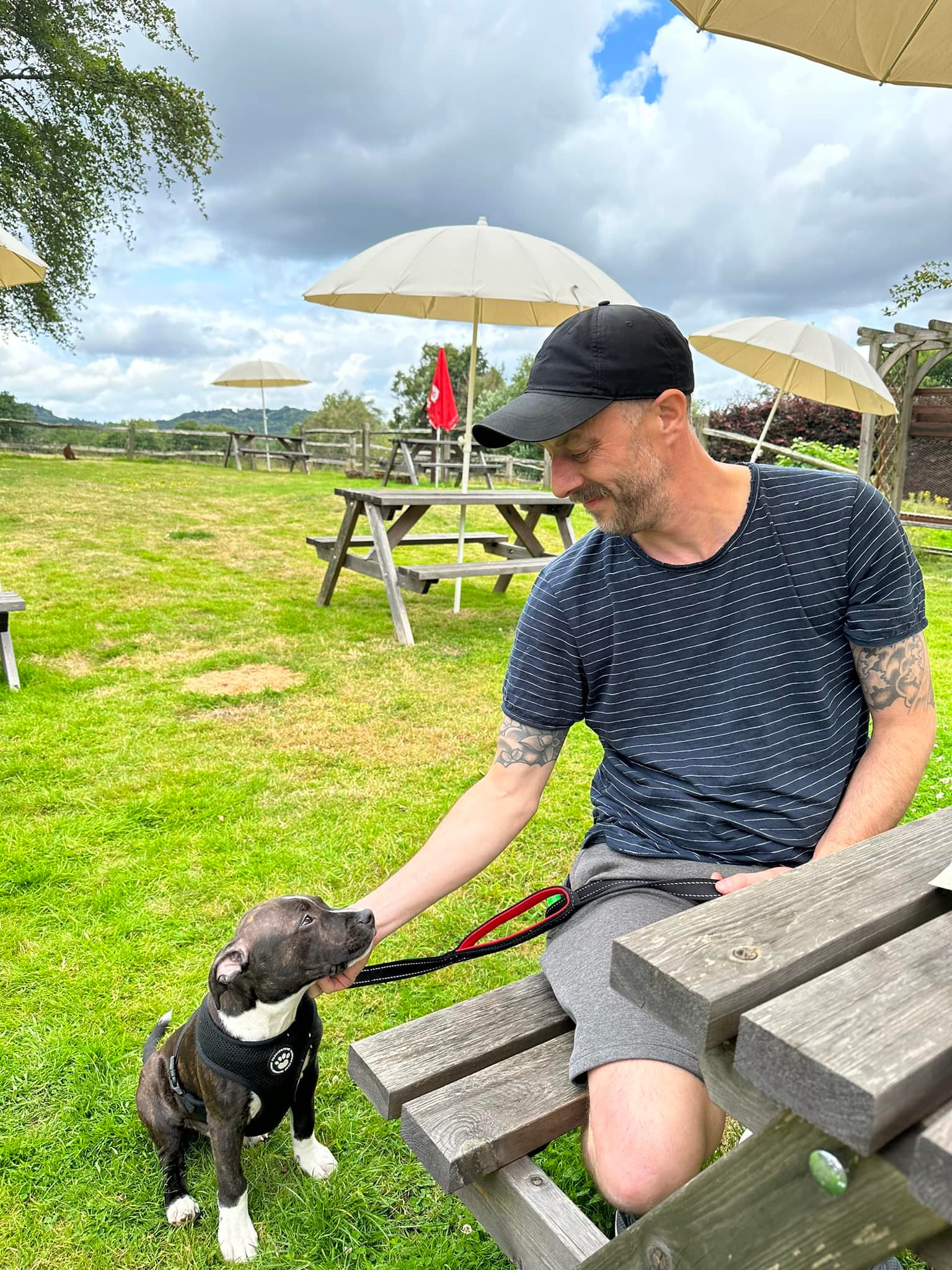 Dog Friendly