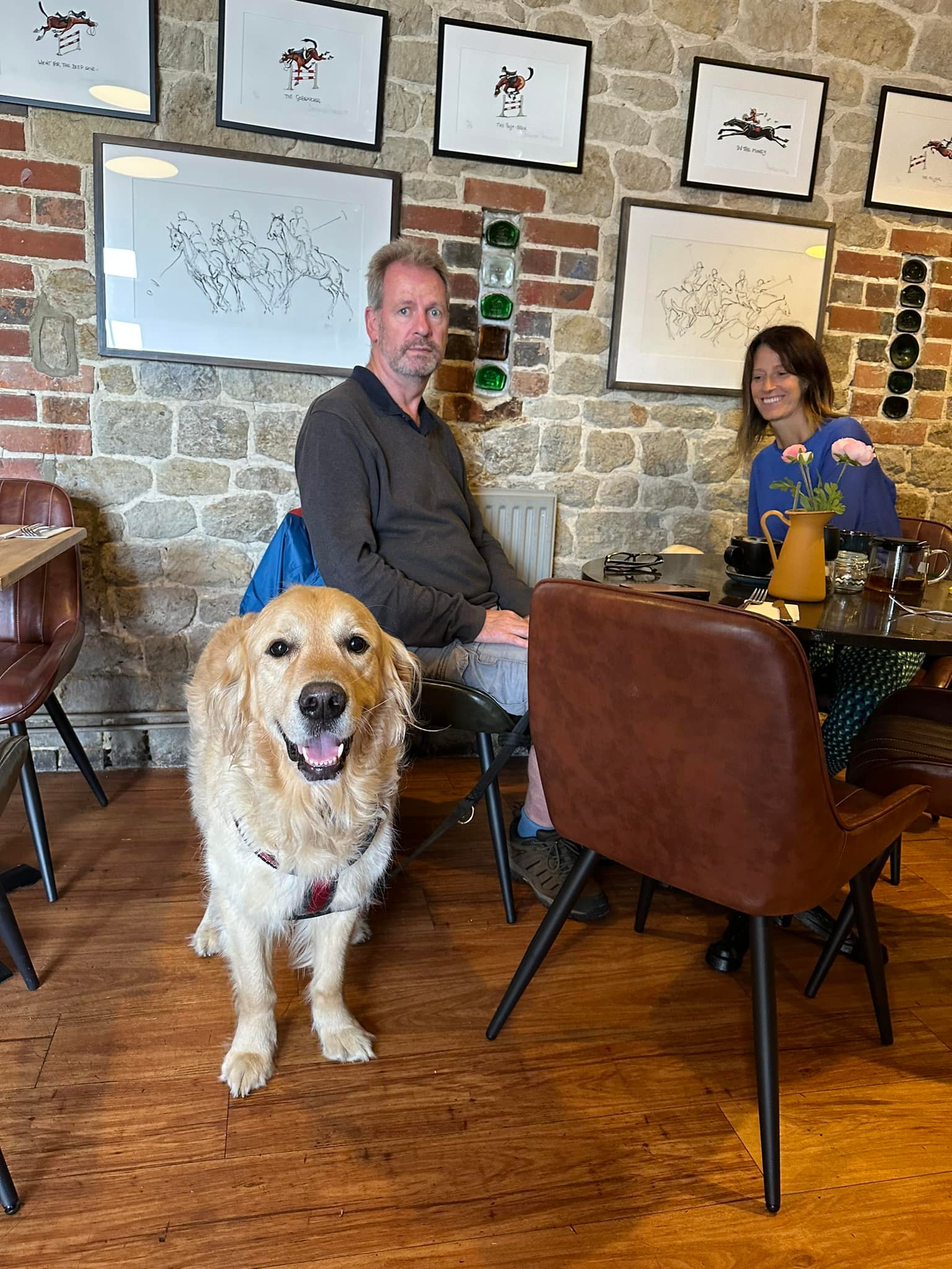 Dog Friendly